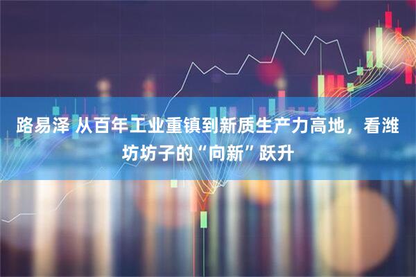 路易泽 从百年工业重镇到新质生产力高地，看潍坊坊子的“向新”跃升